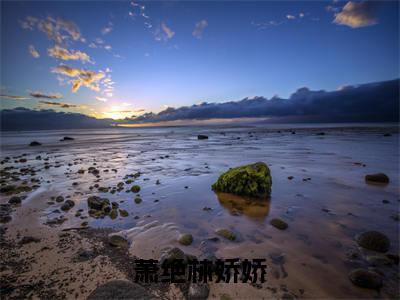 萧绝林娇娇（萧绝林娇娇）小说免费阅读无弹窗大结局_（萧绝林娇娇阅读无弹窗）最新章节列表