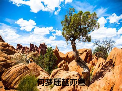 何梦瑶赵亦寒（何梦瑶赵亦寒）全文免费阅读无弹窗大结局_何梦瑶赵亦寒最新章节列表