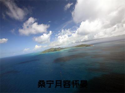 容怀晏桑宁月（桑宁月容怀晏最新全章节大结局）全文阅读-容怀晏桑宁月桑宁月容怀晏在线小说免费阅读