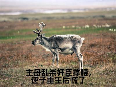 主角叫梁栖月萧悯的小说-（主母乱杀奸臣撑腰，逆子重生后慌了）梁栖月萧悯全文无弹窗完整版阅读