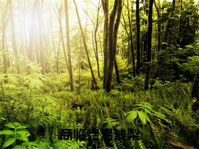 商临煜温浅梨（温浅梨商临煜小说）全文免费阅读无弹窗大结局_商临煜温浅梨全文免费阅读_笔趣阁（温浅梨商临煜）