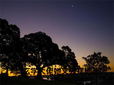 玄学大佬她又去摆地摊了小说（卫绵）全文免费阅读无弹窗大结局_玄学大佬她又去摆地摊了最新章节列表_笔趣阁