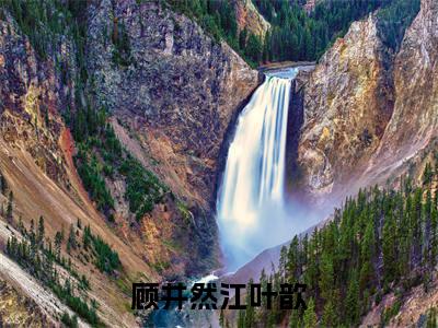 江叶歆顾井然全文免费阅读大结局-江叶歆顾井然最新章节免费阅读大结局