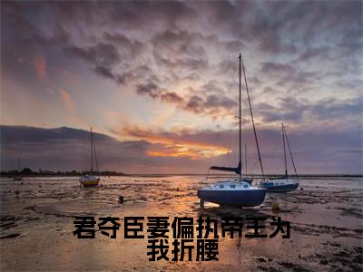 君夺臣妻偏执帝王为我折腰无弹窗（柳如眉）全文免费阅读无弹窗大结局_柳如眉最新章节列表（柳如眉）