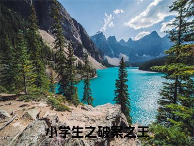 吴欣妍赵成龙小说全文免费阅读大结局-小学生之破案之王最新章节列表免费阅读