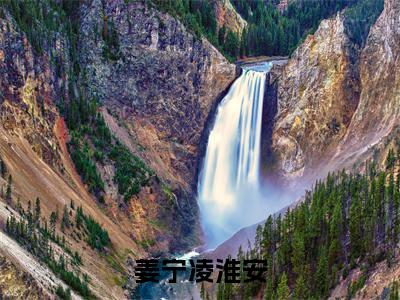 姜宁凌淮安（姜宁凌淮安）正版小说最新章节在线阅读_（姜宁凌淮安全文免费阅读无弹窗）