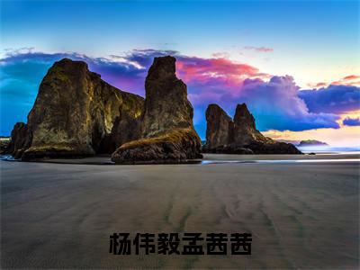 杨伟毅孟茜茜（孟茜茜杨伟毅）全文免费阅读无弹窗大结局_（杨伟毅孟茜茜）孟茜茜杨伟毅最新章节列表_笔趣阁