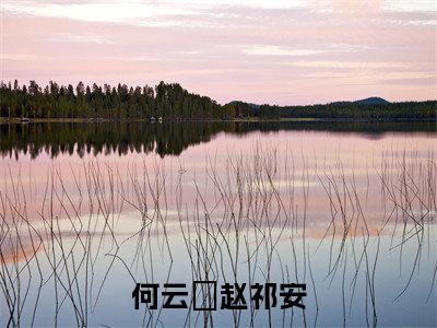 何云晞赵祁安全文（何云晞赵祁安）全文免费阅读无弹窗大结局_（何云晞赵祁安）最新章节列表