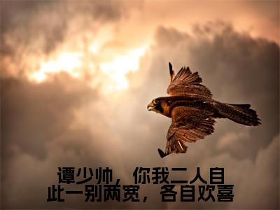 谭少帅，你我二人自此一别两宽，各自欢喜（谭姜霖陆林染）小说全文免费阅读无弹窗大结局_谭少帅，你我二人自此一别两宽，各自欢喜最新章节列表