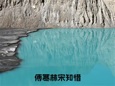 傅寒林宋知惜全文免费阅读无弹窗大结局_（宋知惜傅寒林完结）傅寒林宋知惜小说最新章节列表