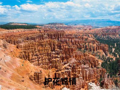护花惊情（韩静姝顾北川）全文免费阅读无弹窗大结局_（护花惊情）已完结全集大结局小说