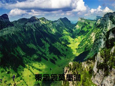 秦袅袅莫墨渊全网首发最新小说，主角秦袅袅莫墨渊全文在线免费阅读