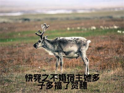 免费+番外贺穗全文免费阅读大结局快穿之不婚宿主她多子多福了贺穗小说最新章节阅读无弹窗