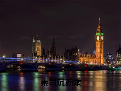 秦司沉苏乘（秦司沉苏乘）免费阅读无弹窗-小说秦司沉苏乘大结局全文免费阅读