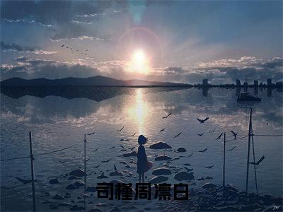 周凛白司槿小说免费阅读无弹窗《司槿周凛白》_司槿周凛白全文阅读周凛白司槿