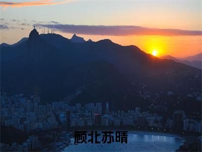 顾北苏晴（苏晴顾北）多人追免费无弹窗小说-主角苏晴顾北完整版在线阅读（顾北苏晴）