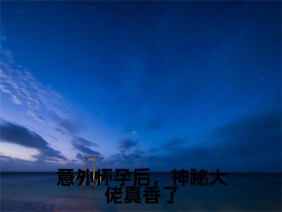 棠宁陆司城小说在线阅读全文无弹窗大结局_意外怀孕后，神秘大佬真香了小说免费最新章节列表（全文）+（后续）