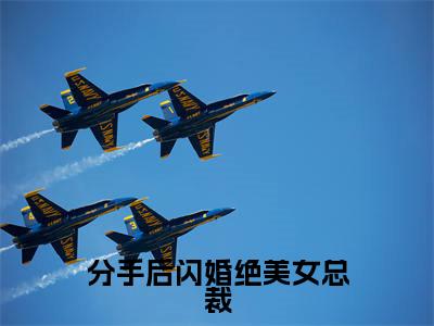 叶枫抖音新书热荐-分手后闪婚绝美女总裁全文在线赏析（叶枫）