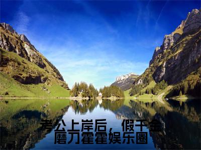 考公上岸后，假千金磨刀霍霍娱乐圈免费阅读无弹窗大结局-沈清陆野（最新全章节大结局）全文阅读