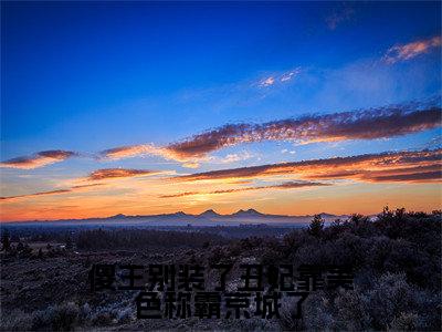 柳云裳楚原胜小说（傻王别装了丑妃靠美色称霸京城了）全文免费阅读无弹窗大结局_柳云裳楚原胜小说最新章节列表_笔趣阁