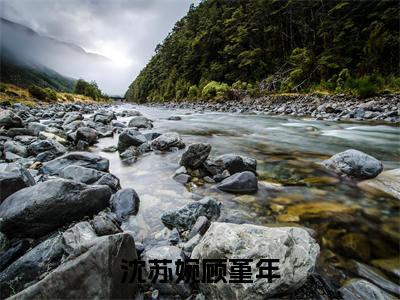 顾堇年沈苏婉是沈苏婉顾堇年的小说（顾堇年沈苏婉）免费读_小说免费沈苏婉顾堇年读-笔趣阁