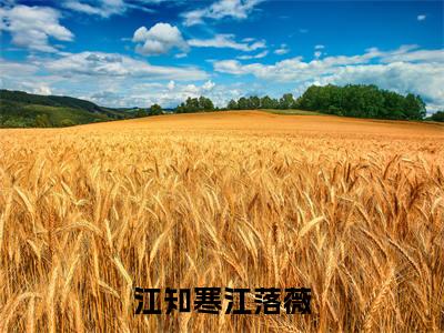 江知寒江落薇小说（江落薇江知寒）全文免费阅读无弹窗大结局_（江知寒江落薇）江落薇江知寒最新章节列表