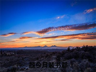黎今月裴书郡（黎今月裴书郡）全文无弹窗阅读-精彩小说黎今月裴书郡（黎今月裴书郡）