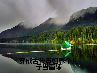 顾冉穿成古代寡妇养个儿子当首辅最新章节小说推荐阅读-新书穿成古代寡妇养个儿子当首辅大结局