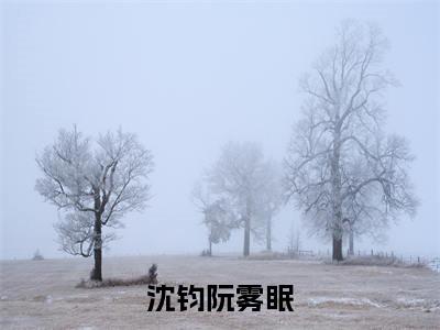 沈钧阮雾眠免费阅读无弹窗最新章节列表-（阮雾眠沈钧）全文免费阅读大结局笔趣阁（阮雾眠沈钧）