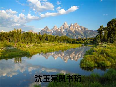 沈玉棠贺书珩（沈玉棠贺书珩）全文免费阅读_沈玉棠贺书珩全文阅读_笔趣阁（沈玉棠贺书珩）