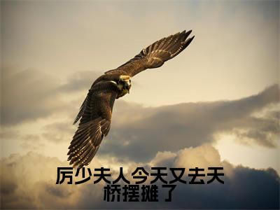 云七七厉云霈（厉少夫人今天又去天桥摆摊了）全文免费阅读无弹窗大结局_云七七厉云霈厉少夫人今天又去天桥摆摊了最新章节列表_笔趣阁