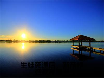 生娃死遁后，新帝抱娃夜夜痛哭全文免费阅读无弹窗大结局-沈青念宋玄全文在线阅读最新章节列表_笔趣阁