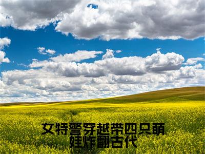 女特警穿越带四只萌娃炸翻古代（简秀姑小说）全文免费阅读无弹窗大结局_简秀姑完整版小说阅读