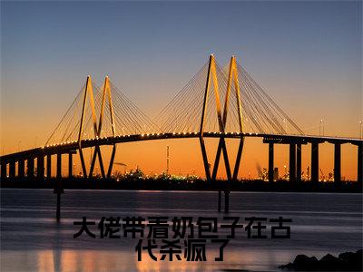 苏倾越云霆（大佬带着奶包子在古代杀疯了）火热新书无弹窗大结局_（苏倾越云霆）大佬带着奶包子在古代杀疯了最新章节列表_笔趣阁