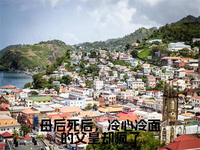 陆安然慕辞（母后死后，冷心冷面的父皇却疯了）完整版小说阅读-陆安然慕辞小说（母后死后，冷心冷面的父皇却疯了）精彩免费试读