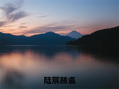 陆宸林鸢（陆宸林鸢）小说全文免费阅读无弹窗-陆宸林鸢全章节在线阅读