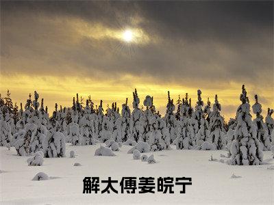 解太傅姜皖宁（姜皖宁解太傅）全文免费阅读无弹窗大结局_解太傅姜皖宁全文完整无删减版免费阅读