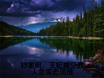 抄家前，王妃搬空敌人金库去流放（季清浅江屿白）小说在线阅读_抄家前，王妃搬空敌人金库去流放免费阅读笔趣阁（季清浅江屿白）