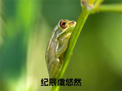 （虞悠然纪辰小说完整版）纪辰虞悠然全文免费阅读-（纪辰虞悠然）虞悠然纪辰小说最新章节列表