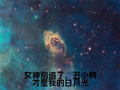 女神别追了，丑小鸭才是我的白月光高赞小说（林晨）完结阅读_女神别追了，丑小鸭才是我的白月光全文完整版免费阅读最新章节列表林晨（番外+免费）
