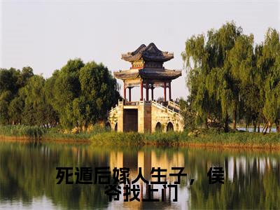 郑鸳儿李玄（死遁后嫁人生子，侯爷找上门）全文免费阅读无弹窗_死遁后嫁人生子，侯爷找上门最新小说_笔趣阁（郑鸳儿李玄）