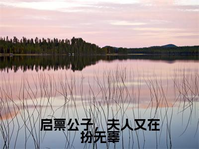 【热门】《启禀公子，夫人又在扮无辜》书名是小四娘全文免费阅读已完结
