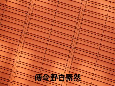 《白素然傅令野》傅令野白素然（热推新书）-抖音热推傅令野白素然无弹窗阅读