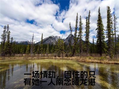 一场情劫，困住的只有她一人南念曦龙湛（南念曦龙湛）全文免费阅读无弹窗大结局_（南念曦龙湛）免费阅读无弹窗最新章节列表