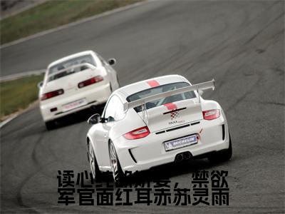 小说苏灵雨霍焰全文免费阅读无弹窗大结局-读心纯欲娇妻，禁欲军官面红耳赤苏灵雨在线阅读