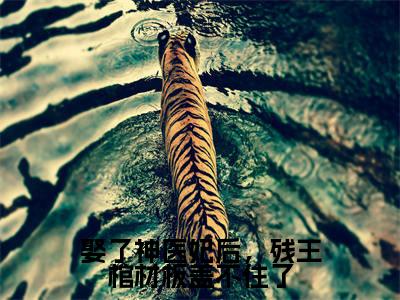 萧之珩洛倾城小说完整版阅读-（娶了神医妃后，残王棺材板盖不住了）小说全文免费阅读