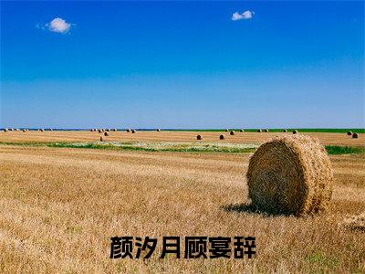 颜汐月顾宴辞全文免费阅读无弹窗大结局_（颜汐月顾宴辞）最新章节列表笔趣阁（颜汐月顾宴辞）