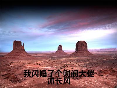 小说我闪婚了个财阀大佬沐长风全文免费阅读许雨晴沐长风小说全文在线赏析_笔趣阁