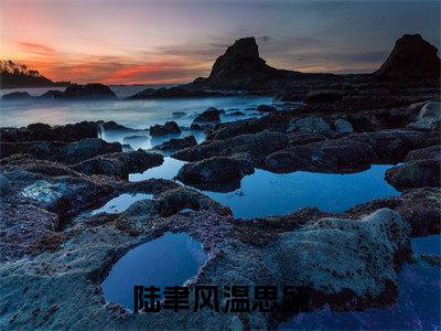 陆聿风温思毓（温思毓陆聿风）全文免费阅读无弹窗大结局_（陆聿风温思毓）温思毓陆聿风全文阅读-笔趣阁