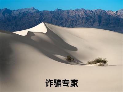 诈骗专家（江滔小说全文）在线阅读无弹窗大结局-诈骗专家全文无删减版阅读